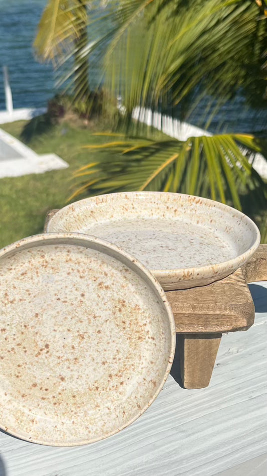 Speckled Snack Plates